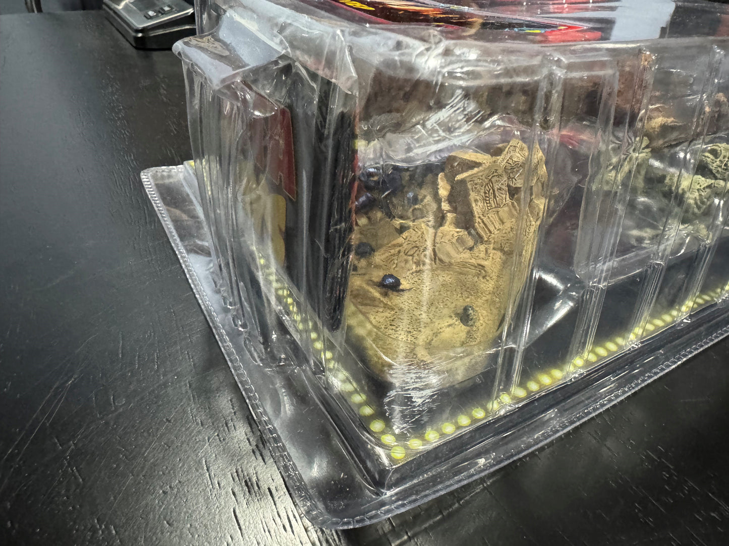 SOTA Toys The Mummy Returns IMHOTEP Figure